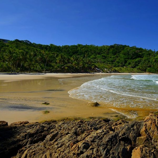 DagenDeHoogtepuntenvanBrazilië