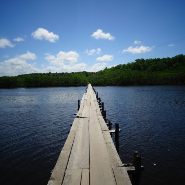 dagen&#RoadtripRecife–Salvador