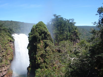 DagenOnbekendNoelKempff&#dePantanal