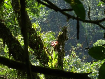 Dagen–ElSalvadorTotaalIndividueel