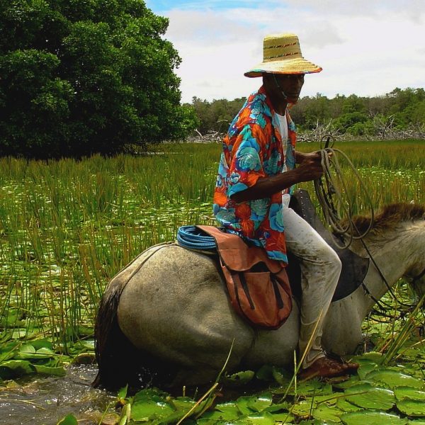 DagenBraziliëNatuurreis