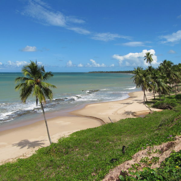 dagen&#RoadtripRecife–Salvador