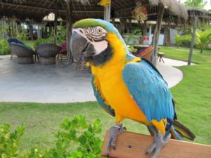dagen&#;RoadtripRecife–Salvador