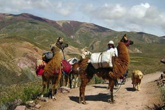 Rondreizen Argentinië Natuur Cultuur Reis