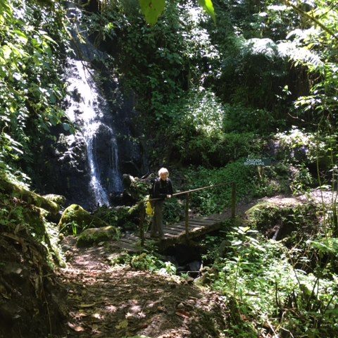 dagenAvontuurlijkeZuidwestCostaRicarondreis