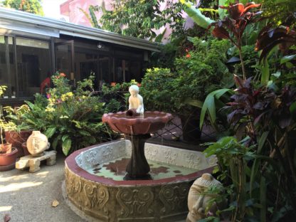 dagen–CostaRicanatuurroadtrip