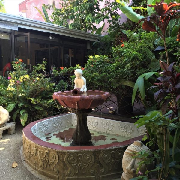 dagen–CostaRicanatuurroadtrip