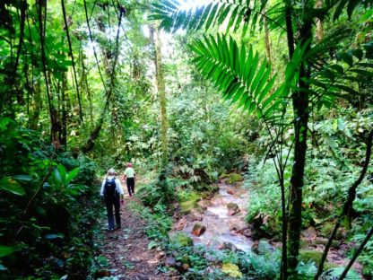 dagen&#;BijzonderNicaragua&#;Honduras