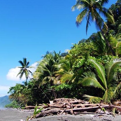 dagen–CostaRicanatuurroadtrip