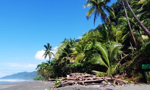 dagen–CostaRicanatuurroadtrip