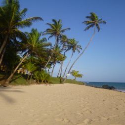 dagen&#DetropischeeilandenvanNicaragua