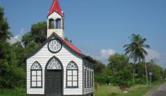 dagen puur natuur in suriname en zuidoos brazilie