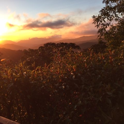 dagenAvontuurlijkeZuidwestCostaRicarondreis