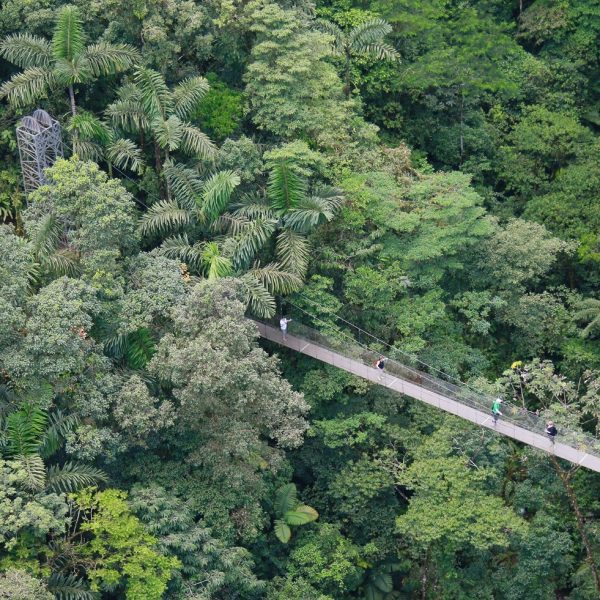 dagen&#DetropischeeilandenvanNicaragua