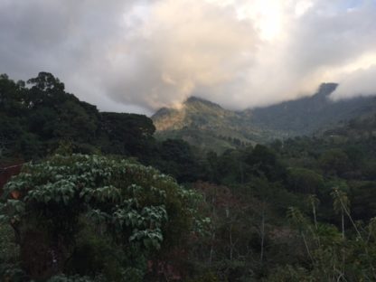 dagenAvontuurlijkeZuidwestCostaRicarondreis