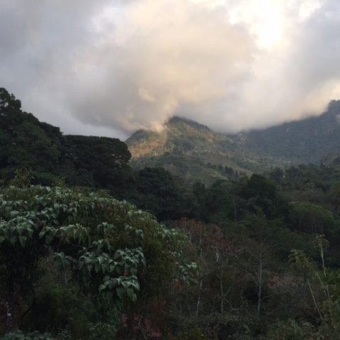 dagenAvontuurlijkeZuidwestCostaRicarondreis