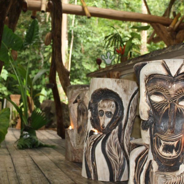 dagenAvontuurlijkeZuidwestCostaRicarondreis