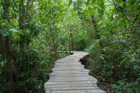 dagenAvontuurlijkeZuidwestCostaRicarondreis