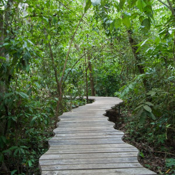 dagenAvontuurlijkeZuidwestCostaRicarondreis