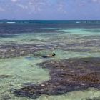 corn islands snorkelen