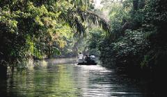 tortuguero costa rica