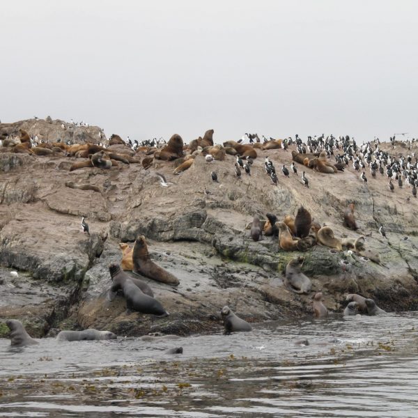 daagseArgentiniëHoogtepuntenreis&#deel