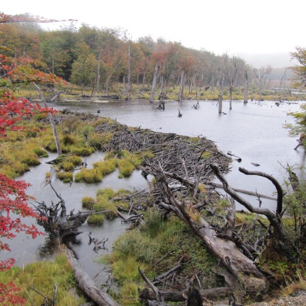 daagseArgentiniëHoogtepuntenreis&#deel