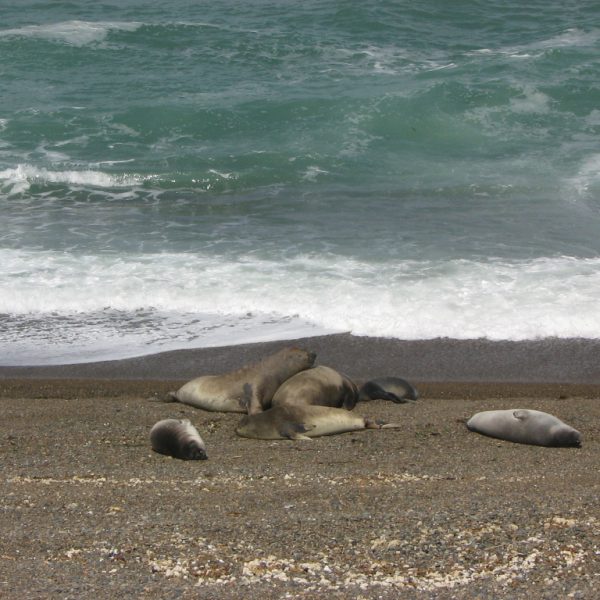 daagseArgentiniëHoogtepuntenreis&#deel