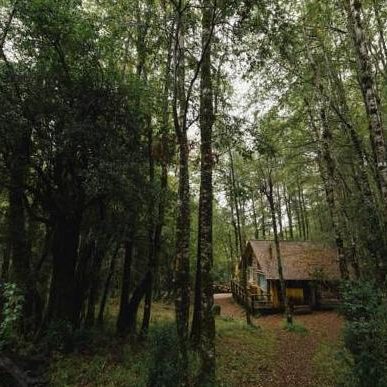 19 dagen – Chileens mooi merengebied