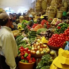 dagenDwarsdoordeAndes