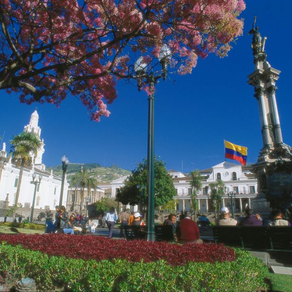 dagen&#Ecuadorvoornatuurliefhebbers