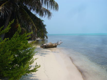 dagenBijzonderGuatemala&#Belize