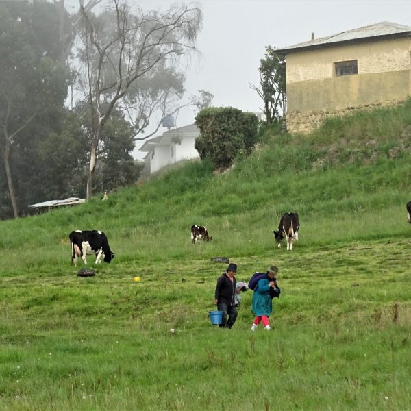 dagen&#Ecuadorvoornatuurliefhebbers