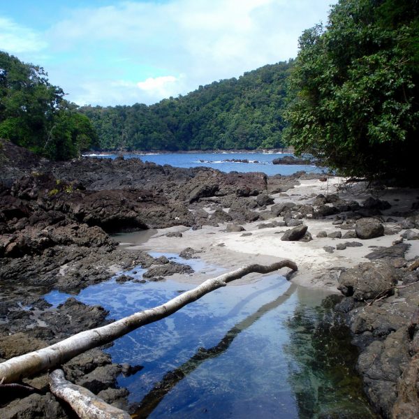 dagen–ColombiaAndes,koffie&#natuurreis