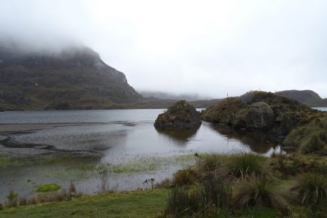 dagen&#Ecuadorvoornatuurliefhebbers