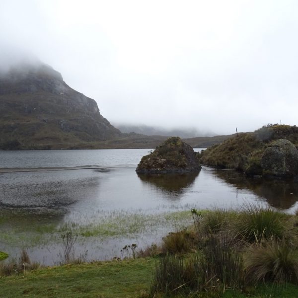 dagen&#Ecuadorvoornatuurliefhebbers