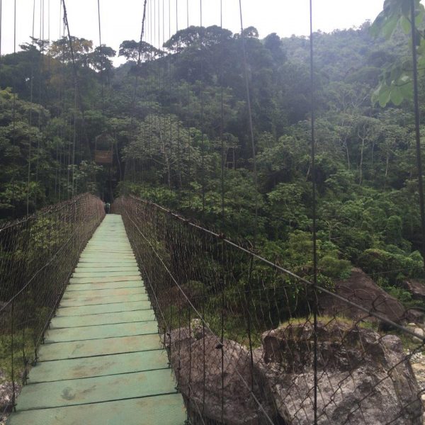 dagen–OnbekendGuatemala&#Honduras