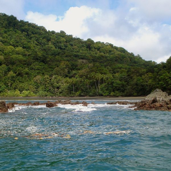 dagen–ColombiaAndes,koffie&#natuurreis