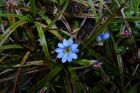 dagen&#Ecuadorvoornatuurliefhebbers