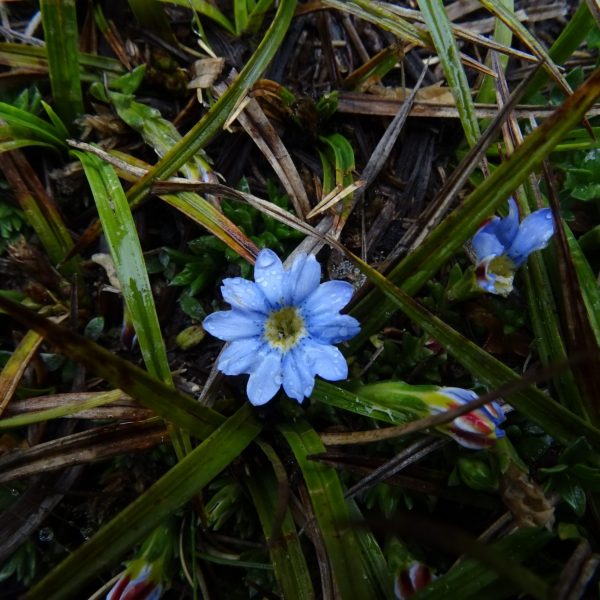 dagen&#Ecuadorvoornatuurliefhebbers