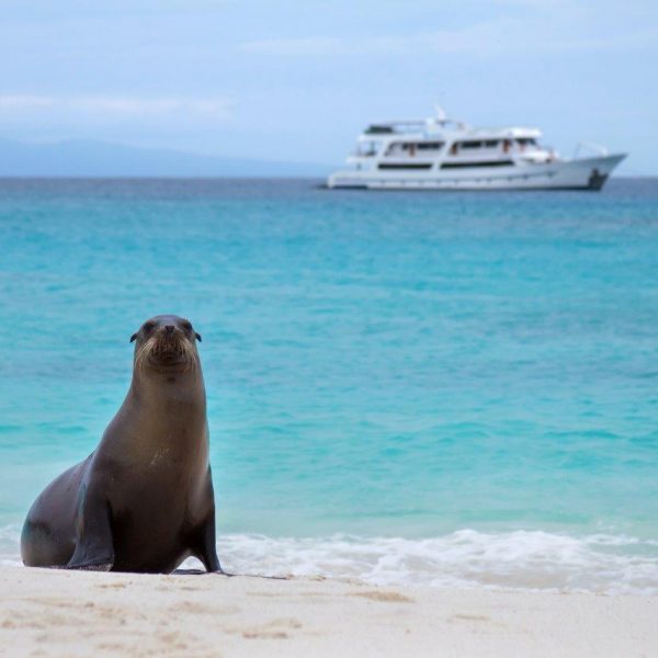 dagen&#AmazoneEcuador&#Galapagoscruise