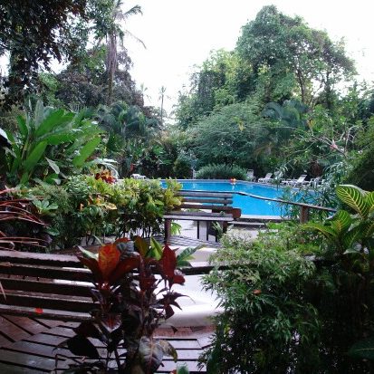 dagen&#Jungle,wildlife,vulkanenentropischestranden