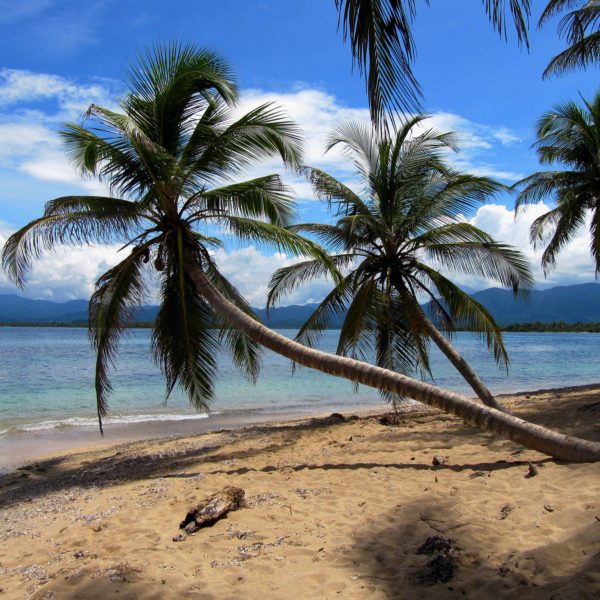 dagendemooistestrandenvancolombia