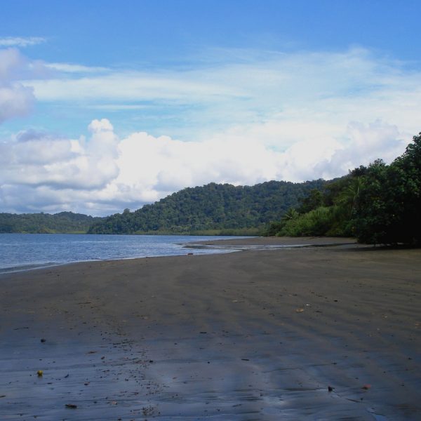 dagen–ColombiaAndes,koffie&#natuurreis