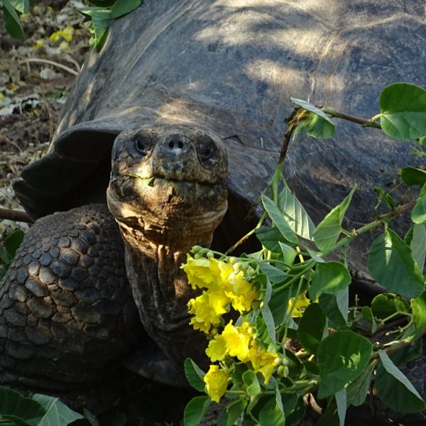 dagen&#Ecuadorvoornatuurliefhebbers
