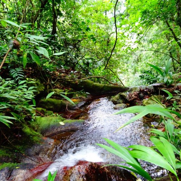 dagen–MayaTempels&#NatuurinGuatemala