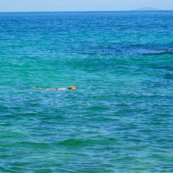 dagen–OnbekendGuatemala&#Honduras