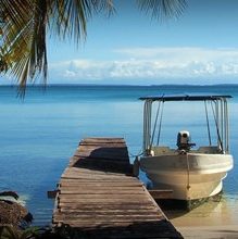 dagen&#Jungle,wildlife,vulkanenentropischestranden