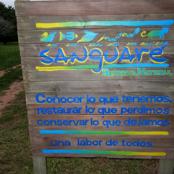 dagendemooistestrandenvancolombia