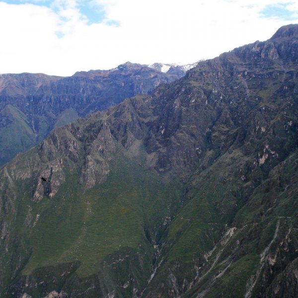 dagenDwarsdoordeAndes